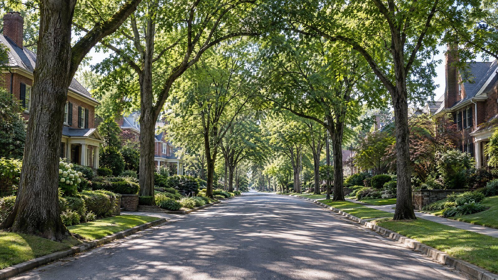 Landscaping in Nashville, Tennessee